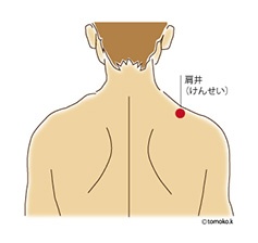 イラスト／tomokokashio
